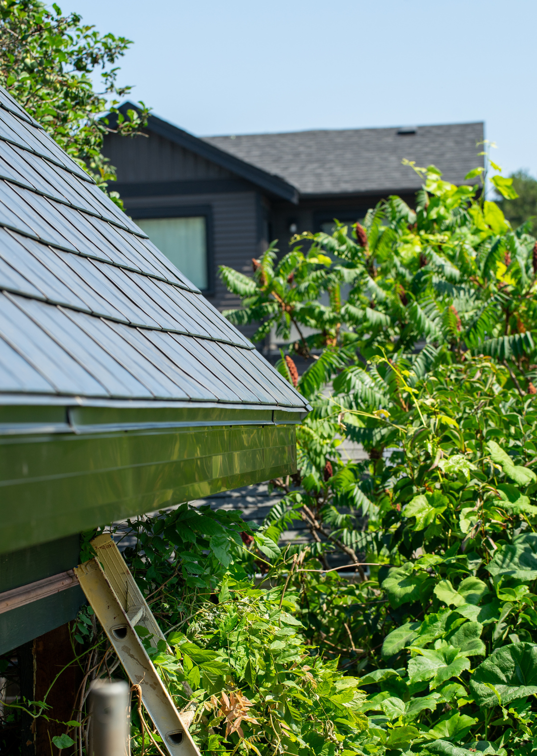 gutter-cleaning-repair-nanaimo-home-aarsen (7)